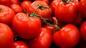 Fresh Organic Red Tomato