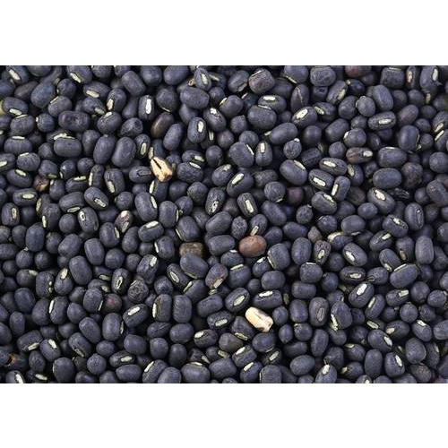 India Black Matpe Lentils