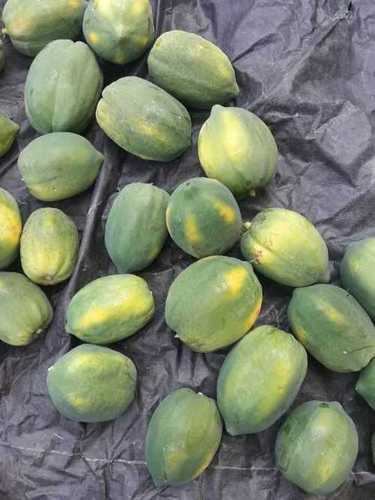 Organic Farm Fresh Papaya