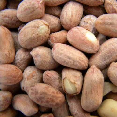 High In Demand Salted Peanut Namkeen