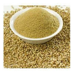 Fresh Pure Coriander Powder