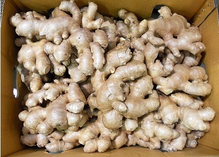 Fresh Ginger By Hasaad Tradings Ltd