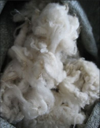 Natural Sheep Wool/Greasy Sheep Wool