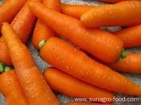 Fresh Carrot For Export