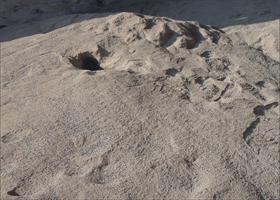 River Sand (Reti) at Best Price in Alibag, Maharashtra