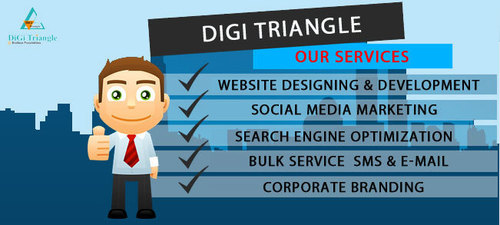 Digital Marketing Service By Digi Triangle