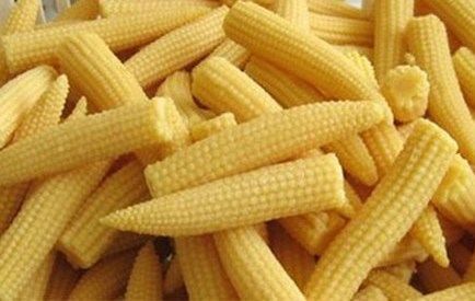 Yellow Color Baby Corn