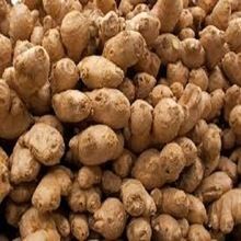 Excellent Grade Fresh Ginger