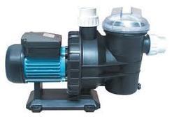 Swimming Pool Pump Repairing Service