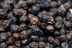 Dried Black Pepper