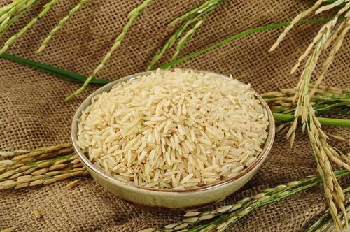 Premium Quality Extra Long Grain Rice