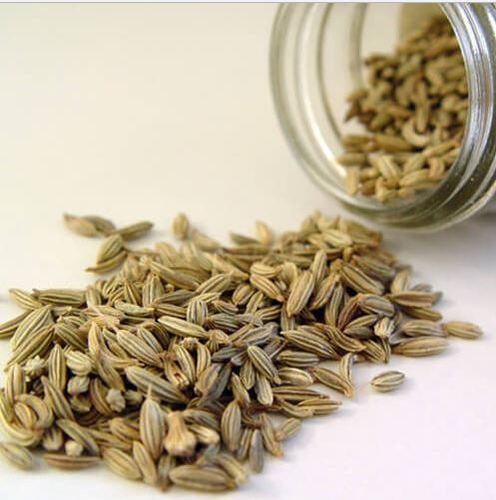 Fine Finish Fennel Seeds