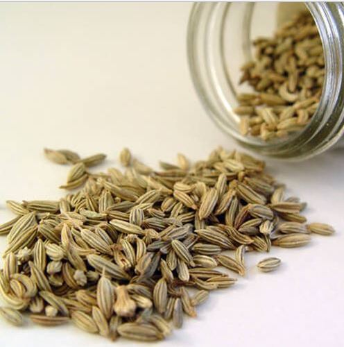 Brown Fine Finish Fennel Seeds