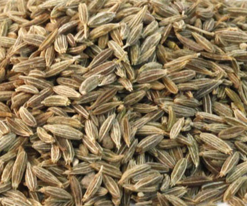 Fine Grade Cumin Seeds