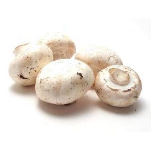 Organic White Fresh Mushrooms