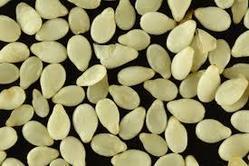 Organic White Sesame Seeds