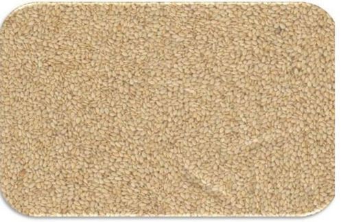 White Roasted Hulled Sesame Seeds