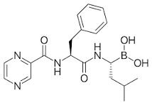 Pharmaceutical Bortezomib