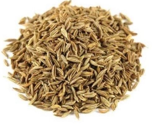 Fresh Cumin Seeds For Health