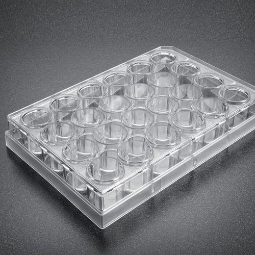 Highly Durable Cell Culture Plates