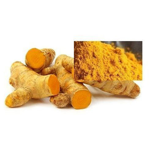 Curcumin Extract - Curcuma Longa Extract