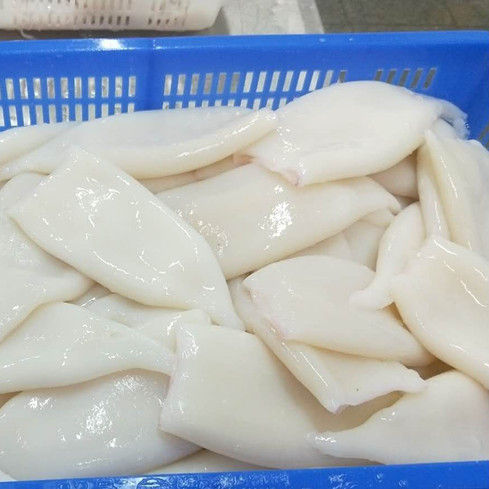 Frozen Seafood Cleaned Squid Tube