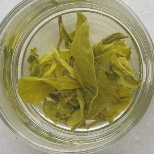 Pure Organic green tea