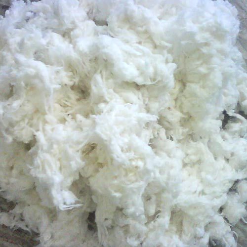 White Color Bleached Cotton