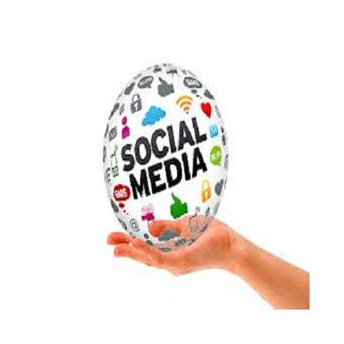Social Media Marketing Service By Matrix Bricks Infotech
