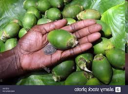 Organic Green Areca Nut