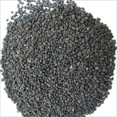 Babchi (Psoralea Corylifolia) Extract