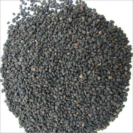 Herbal Product Babchi (Psoralea Corylifolia) Extract