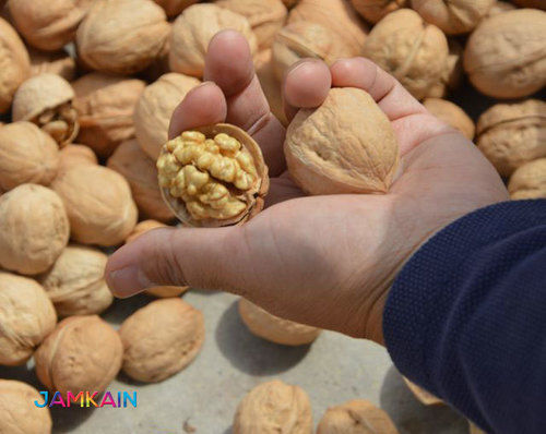 Organic Paper Shell Kashmiri Walnut