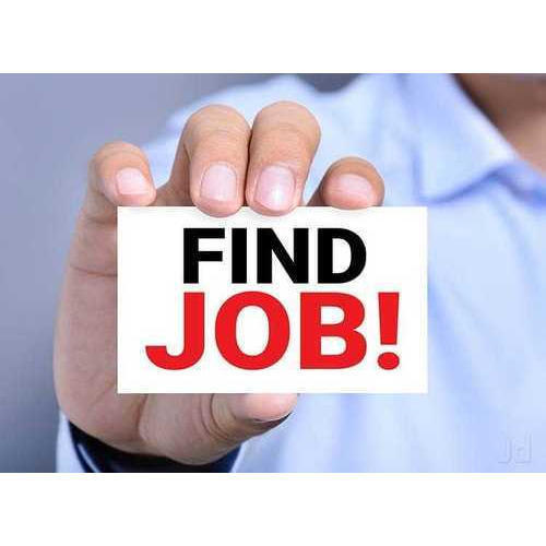 Banking Job Placement Services By One Point Solution