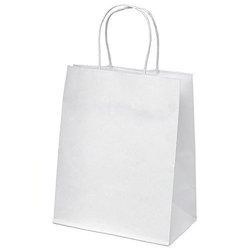 White Color Carry Bag
