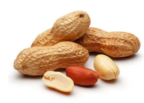 Organic Natural Ground Nuts