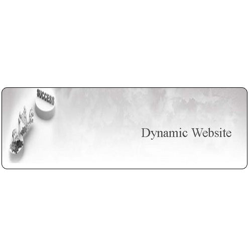 Dynamic WebSite Service Provider