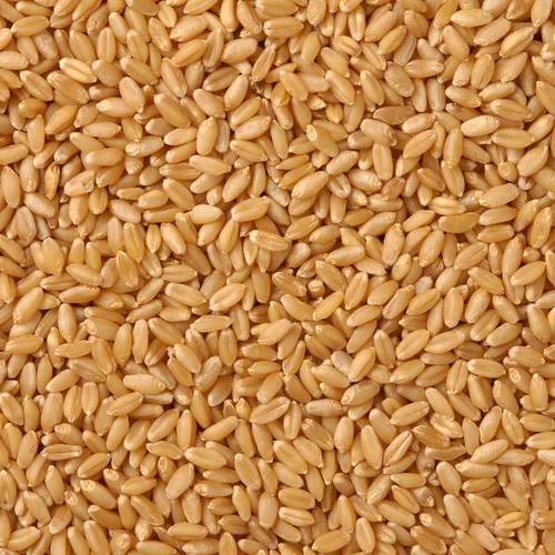 Pesticides Free Durum Wheat