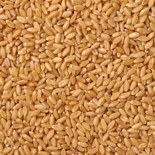 Pesticides Free Durum Wheat Grade: Aaa