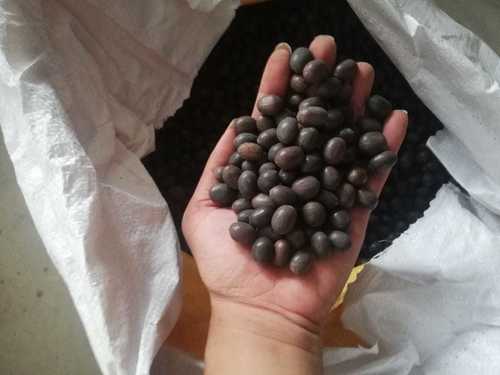 Dried Black Lotus Seeds Admixture (%): 1