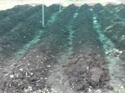 Increasing Harvest Yields Natural Vermicompost Fertilizers