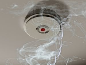 Durable Fire Detection Systems