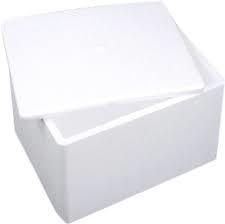 Eco Friendly White Thermocol Boxes
