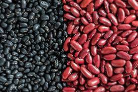 Red And Dark Kidney Beans