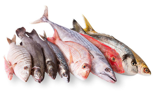 Sea Fish at Best Price in Tiruchirappalli, Tamil Nadu