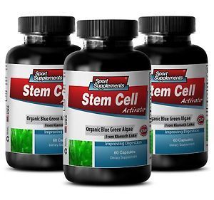 Stem Cell