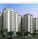 1 Bhk Flat Construction Service