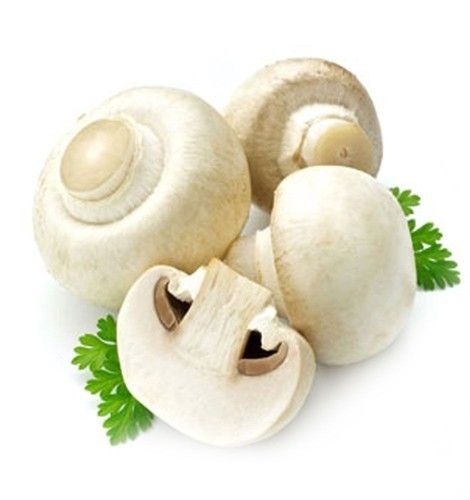 Fresh Pure Button Mushroom 