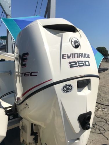 2006 Evinrude Etec 250 Hp Dfi Outboard Boat Motor Engine 30 E Tec 225 ...