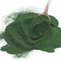 Herbal Product Dark Green Spirulina Powder